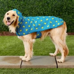 Frisco Lightweight Rubber Ducky Dog Raincoat 12 Frisco Lightweight Rubber Ducky Dog Raincoat -Chewy 119202 PT5. AC SS1800 V1540424644