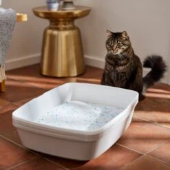 Frisco Summer Clean Scented Non-Clumping Crystal Cat Litter -Chewy 144146 PT4. AC SS1800 V1659023731