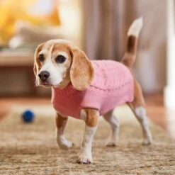 Frisco Dog & Cat Cable Knitted Sweater -Chewy 144254 PT5. AC SS1800 V1541456525