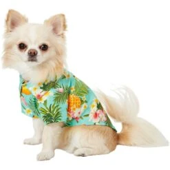 Frisco Pineapple Hawaiian Camp Dog & Cat Shirt 14 Frisco Pineapple Hawaiian Camp Dog & Cat Shirt -Chewy 153596 PT3. AC SS1800 V1673361409