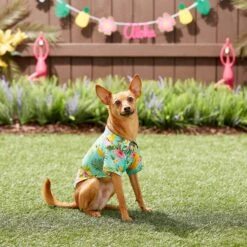 Frisco Pineapple Hawaiian Camp Dog & Cat Shirt 18 Frisco Pineapple Hawaiian Camp Dog & Cat Shirt -Chewy 153596 PT7. AC SS1800 V1644884316