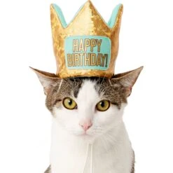 Frisco Happy Birthday Dog & Cat Crown 10 Frisco Happy Birthday Dog & Cat Crown -Chewy 153665 PT2. AC SS1800 V1551230979