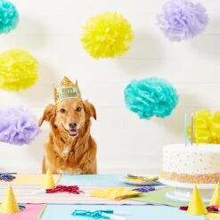 Frisco Happy Birthday Dog & Cat Crown 13 Frisco Happy Birthday Dog & Cat Crown -Chewy 153665 PT5. AC SS1800 V1551231039