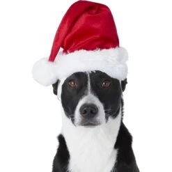 Frisco Holiday Dog & Cat Santa Hat, 1 Count 10 Frisco Holiday Dog & Cat Santa Hat, 1 Count -Chewy 160054 PT2. AC SS1800 V1669100718
