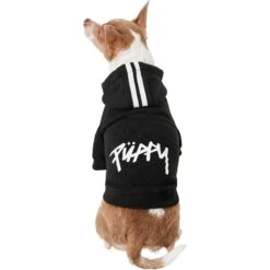 Frisco Püppy Dog Athletic Hoodie 11 Frisco Püppy Dog Athletic Hoodie -Chewy 160342 PT2. AC SS1800 V1637689590