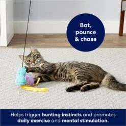 Frisco Bird With Feathers Teaser Wand Cat Toy With Catnip 8 Frisco Bird With Feathers Teaser Wand Cat Toy With Catnip -Chewy 161199 PT2. AC SS1800 V1678723897