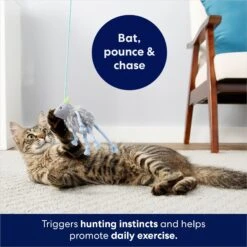 Frisco Bouncy Mouse Plush Teaser Cat Toy With Catnip 10 Frisco Bouncy Mouse Plush Teaser Cat Toy With Catnip -Chewy 161259 PT5. AC SS1800 V1686580155