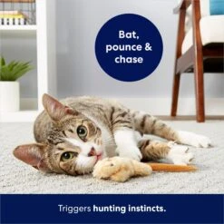 Frisco Skinny Mouse Plush Cat Toy With Catnip 10 Frisco Skinny Mouse Plush Cat Toy With Catnip -Chewy 161268 PT5. AC SS1800 V1686578718