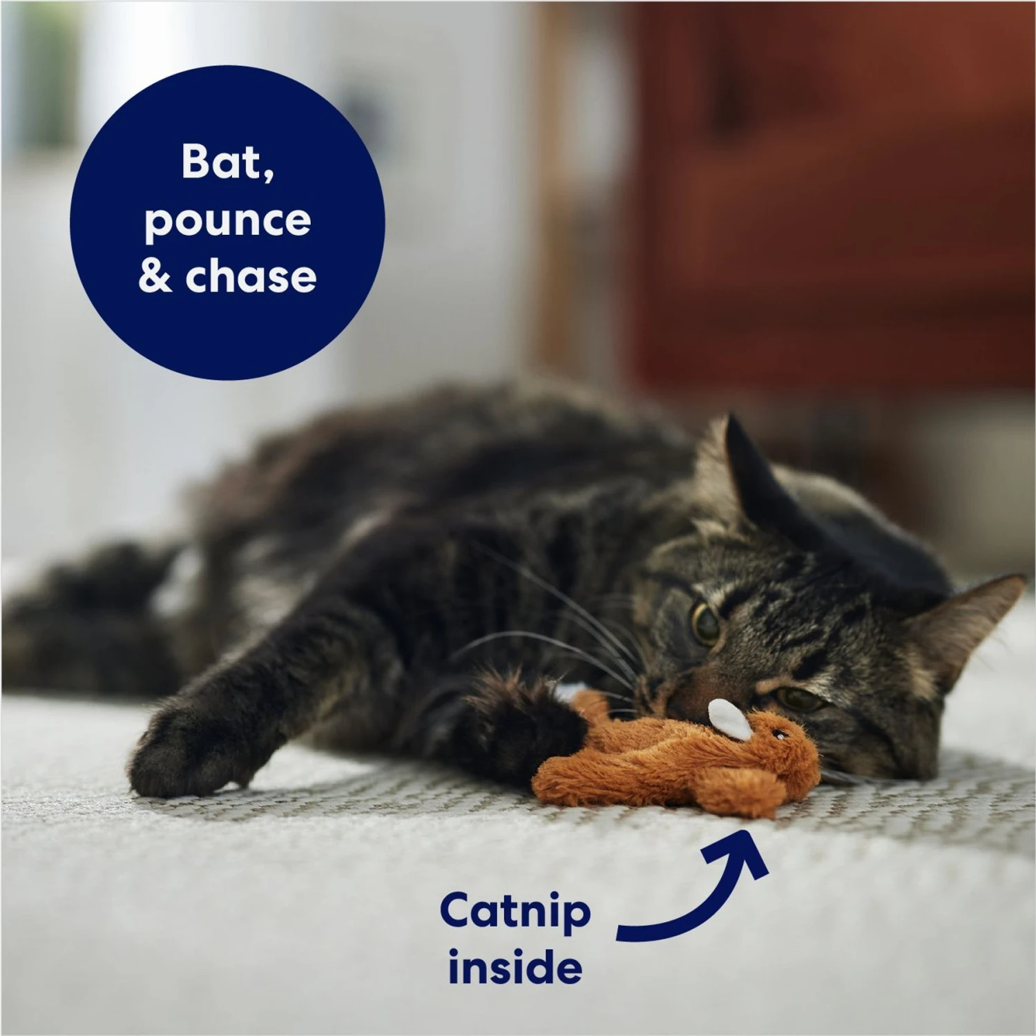 Frisco Squirrel Plush Cat Toy With Refillable Catnip 5 Frisco Squirrel Plush Cat Toy With Refillable Catnip - Image 3