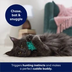 Frisco Moppy Ball Cat Toy With Catnip 10 Frisco Moppy Ball Cat Toy With Catnip -Chewy 161280 PT3. AC SS1800 V1686580106