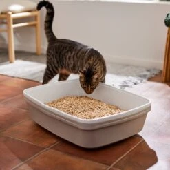 Frisco Pine Pellet Unscented Non-Clumping Wood Cat Litter 13 Frisco Pine Pellet Unscented Non-Clumping Wood Cat Litter -Chewy 161458 PT4. AC SS1800 V1659023182