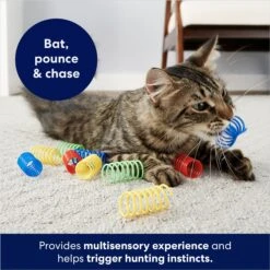 Frisco Colorful Springs Cat Toy 8 Frisco Colorful Springs Cat Toy -Chewy 161807 PT2. AC SS1800 V1678723849