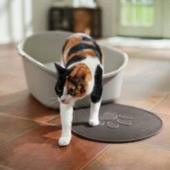 Frisco Shaped Cat Litter Mat 8 Frisco Shaped Cat Litter Mat -Chewy 166306 PT3. AC SS1800 V1675279990