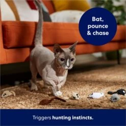 Frisco Mouse Cat Toy With Catnip 10 Frisco Mouse Cat Toy With Catnip -Chewy 166366 PT3. AC SS1800 V1686579216