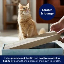 Frisco Double-Wide Cat Scratcher Toy Refill With Catnip, 2 Count 8 Frisco Double-Wide Cat Scratcher Toy Refill With Catnip, 2 Count -Chewy 174800 PT3. AC SS1800 V1678723850