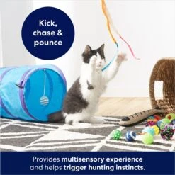 Frisco Plush, Teaser, Ball & Tri-Tunnel Variety Pack Cat Toy With Catnip, 20 Count 10 Frisco Plush, Teaser, Ball & Tri-Tunnel Variety Pack Cat Toy With Catnip, 20 Count -Chewy 178161 PT3. AC SS1800 V1678723898