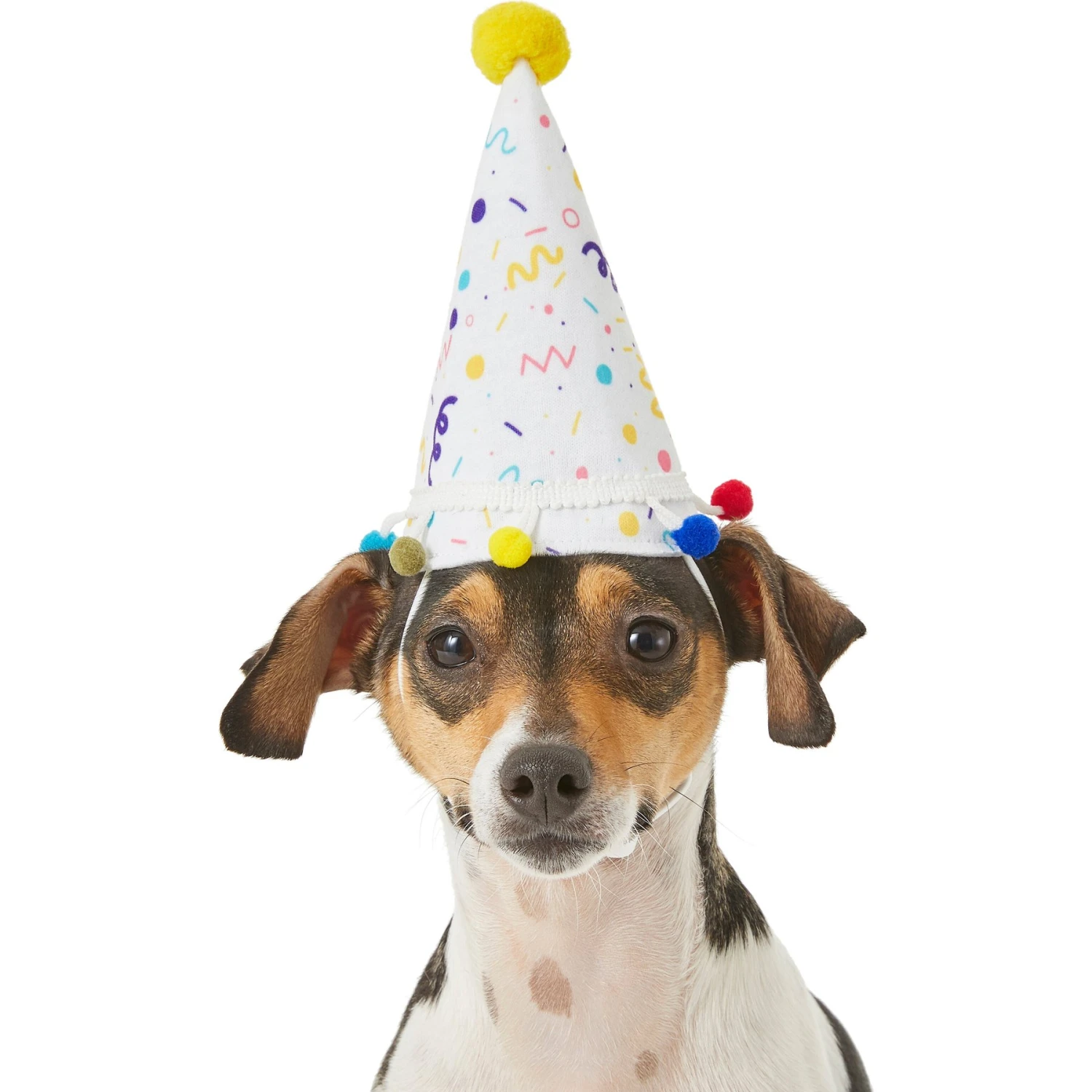 Frisco Confetti Dog & Cat Birthday Hat 3 Frisco Confetti Dog & Cat Birthday Hat