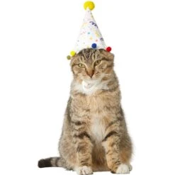 Frisco Confetti Dog & Cat Birthday Hat 10 Frisco Confetti Dog & Cat Birthday Hat -Chewy 191274 PT2. AC SS1800 V1582053206
