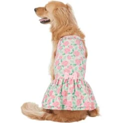 Frisco Pink Floral Dog & Cat Dress 10 Frisco Pink Floral Dog & Cat Dress -Chewy 191295 PT2. AC SS1800 V1637653354