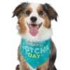 Frisco Happy Gotcha Day Dog & Cat Bandana 2 Frisco Happy Gotcha Day Dog & Cat Bandana -Chewy 200538 MAIN. AC SS1800 V1633085812