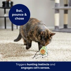 Frisco Dangly Avocado Buddy Plush Cat Toy With Catnip 10 Frisco Dangly Avocado Buddy Plush Cat Toy With Catnip -Chewy 213846 PT5. AC SS1800 V1691784029