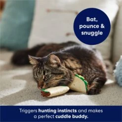 Frisco Taco Plush Cat Toy With Catnip 10 Frisco Taco Plush Cat Toy With Catnip -Chewy 213856 PT5. AC SS1800 V1691783908