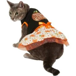 Frisco Pumpkin Patch Cutie Dog & Cat Dress 10 Frisco Pumpkin Patch Cutie Dog & Cat Dress -Chewy 215784 PT2. AC SS1800 V1632429076