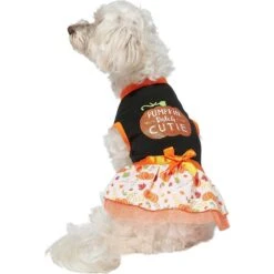 Frisco Pumpkin Patch Cutie Dog & Cat Dress 11 Frisco Pumpkin Patch Cutie Dog & Cat Dress -Chewy 215784 PT3. AC SS1800 V1632430875