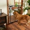 Frisco Wood Accents Extra Tall Auto-close Dog Gate 1 Frisco Wood Accents Extra Tall Auto-close Dog Gate -Chewy 221968 MAIN. AC SS1800 V1595281859