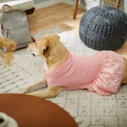 Frisco Cable Knit Dog & Cat Sweater Dress 13 Frisco Cable Knit Dog & Cat Sweater Dress -Chewy 223706 PT7. AC SS1800 V1599921696