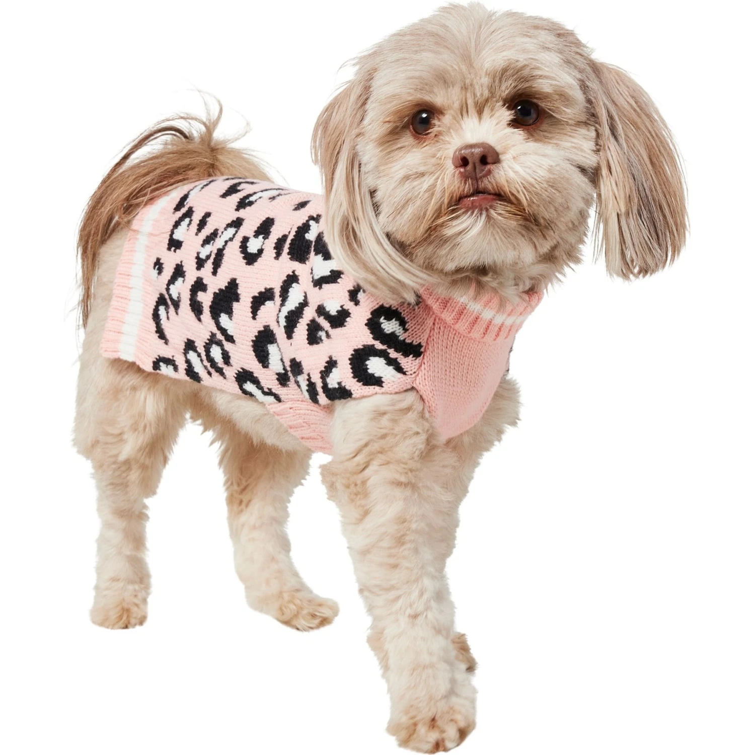 Frisco Leopard Print Dog & Cat Sweater 5 Frisco Leopard Print Dog & Cat Sweater - Image 3