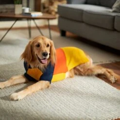 Frisco Colorblock Dog & Cat Turtleneck Sweater With Sleeves -Chewy 223819 PT7. AC SS1800 V1599922008