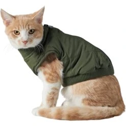 Frisco Lightweight Insulated Bomber Dog & Cat Jacket 10 Frisco Lightweight Insulated Bomber Dog & Cat Jacket -Chewy 223914 PT2. AC SS1800 V1599480960