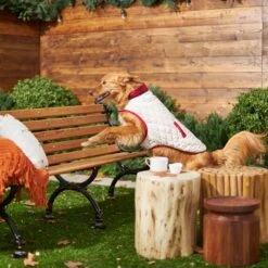 Frisco Quilted Water-Resistant Reversible Insulated Dog & Cat Jacket -Chewy 223922 PT7. AC SS1800 V1601579158