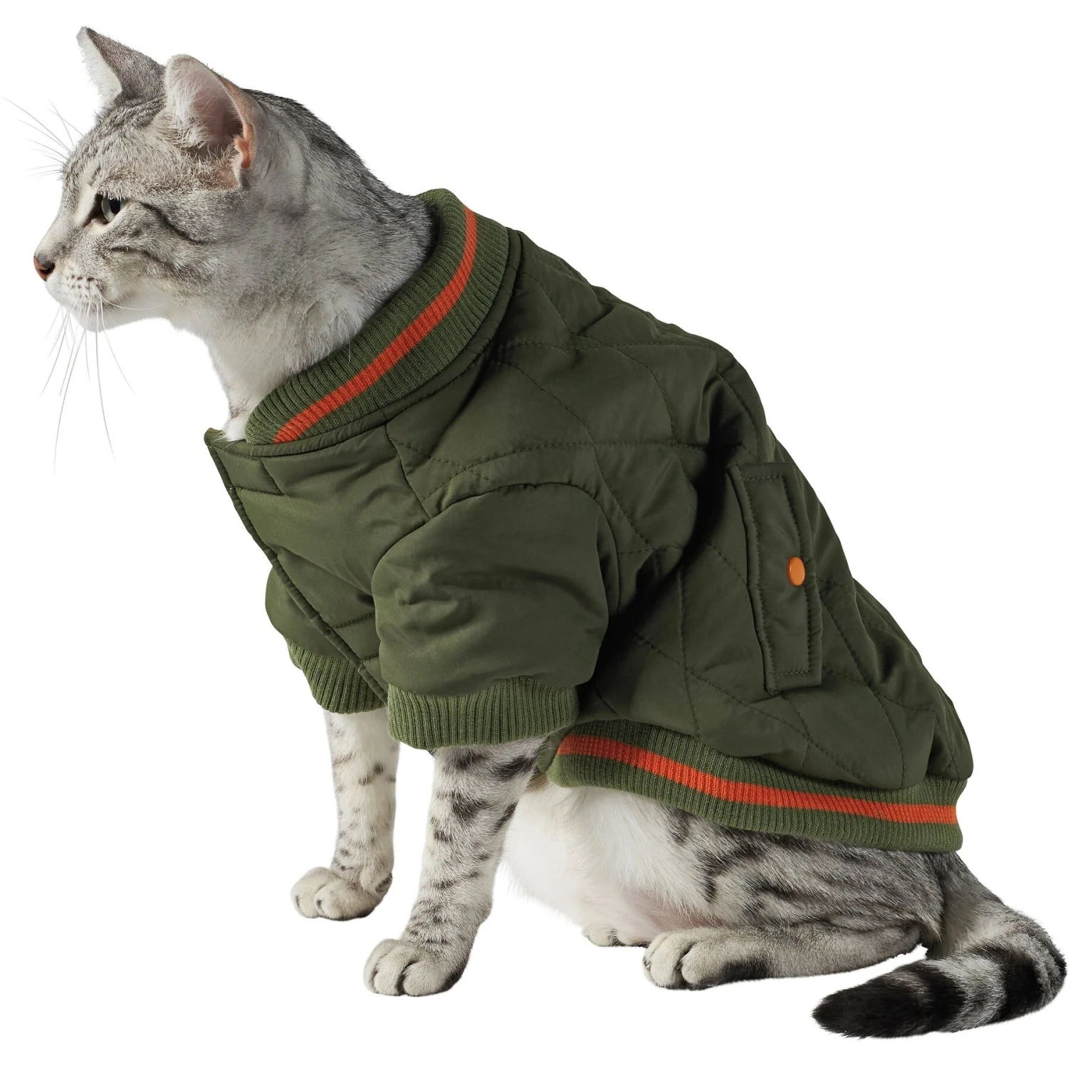 Frisco Mediumweight Insulated Quilted Bomber Dog & Cat Coat 5 Frisco Mediumweight Insulated Quilted Bomber Dog & Cat Coat - Image 3