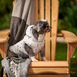 Frisco Mediumweight Silver Polka Dotted Insulated Dog & Cat Coat -Chewy 224017 PT7. AC SS1800 V1601579462