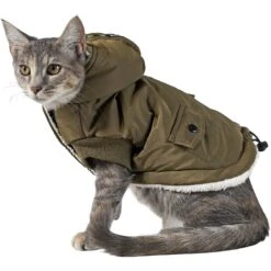Frisco Mid-Heavyweight Love Insulated Dog & Cat Coat 10 Frisco Mid-Heavyweight Love Insulated Dog & Cat Coat -Chewy 224034 PT2. AC SS1800 V1599498998