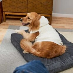 Frisco Plush Fur Dog & Cat Hoodie 17 Frisco Plush Fur Dog & Cat Hoodie -Chewy 224209 PT7. AC SS1800 V1637685435