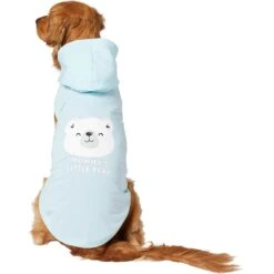 Frisco Mommy's Little Bear Dog & Cat Hoodie 12 Frisco Mommy's Little Bear Dog & Cat Hoodie -Chewy 224272 PT2. AC SS1800 V1637691116