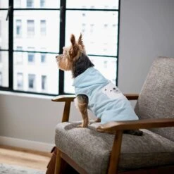 Frisco Mommy's Little Bear Dog & Cat Hoodie 16 Frisco Mommy's Little Bear Dog & Cat Hoodie -Chewy 224272 PT6. AC SS1800 V1637715724