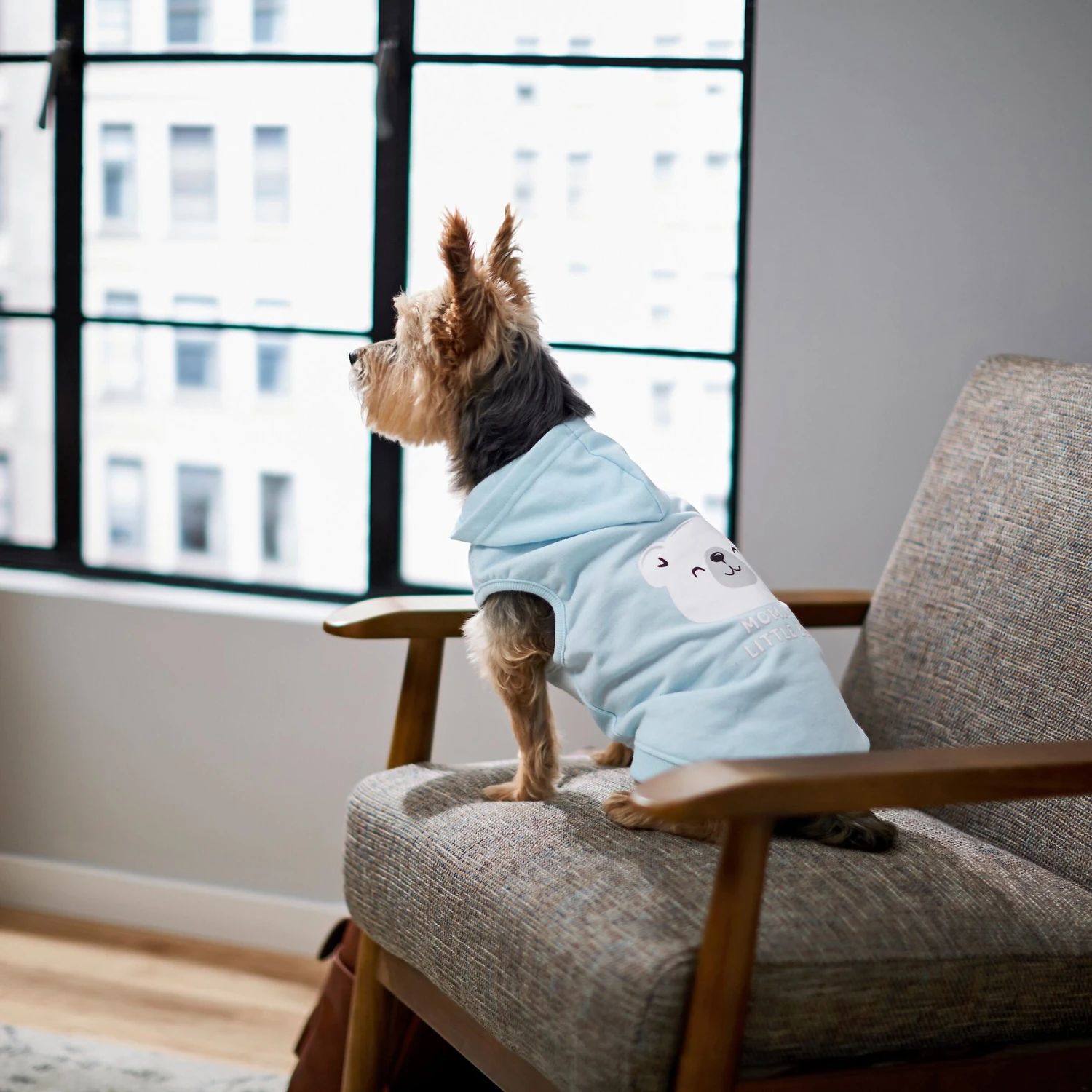 Frisco Mommy's Little Bear Dog & Cat Hoodie 10 Frisco Mommy's Little Bear Dog & Cat Hoodie - Image 8