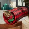 Frisco Holiday Buffalo Plaid Foldable Play Tunnel Cat Toy With Catnip 2 Frisco Holiday Buffalo Plaid Foldable Play Tunnel Cat Toy With Catnip -Chewy 228549 MAIN. AC SS1800 V1632776567