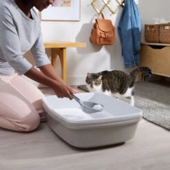 Frisco Micro Crystal Unscented Clumping Crystal Cat Litter 13 Frisco Micro Crystal Unscented Clumping Crystal Cat Litter -Chewy 232119 PT4. AC SS1800 V1660944685