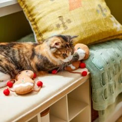 Frisco Holiday Gingerbread Pals Plush Kicker Cat Toy With Catnip, 2 Count 8 Frisco Holiday Gingerbread Pals Plush Kicker Cat Toy With Catnip, 2 Count -Chewy 233303 PT2. AC SS1800 V1602172387