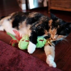 Frisco Holiday Christmas Tree Plush Kicker Cat Toy With Catnip 8 Frisco Holiday Christmas Tree Plush Kicker Cat Toy With Catnip -Chewy 233305 PT2. AC SS1800 V1602172376