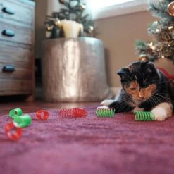 Frisco Holiday Springs Cat Toy, 10 Count 8 Frisco Holiday Springs Cat Toy, 10 Count -Chewy 233307 PT2. AC SS1800 V1602172363
