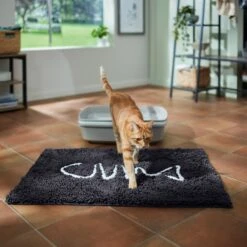 Frisco Microfiber Chenille Fish Bone Litter Mat 11 Frisco Microfiber Chenille Fish Bone Litter Mat -Chewy 236242 PT3. AC SS1800 V1676556249
