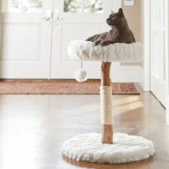 Frisco Natural Wood Modern Cat Tree With Toy, Ivory, Small