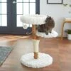 Frisco Natural Wood Modern Cat Tree With Toy, Ivory, Medium -Chewy 236561 MAIN. AC SS1800 V1616521947