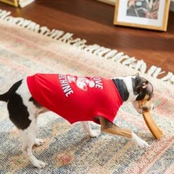 Frisco Love Machine Dog & Cat T-shirt 16 Frisco Love Machine Dog & Cat T-shirt -Chewy 238160 PT6. AC SS1800 V1608595661